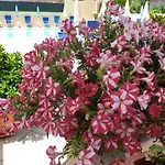 Hotel Le Torri 4*