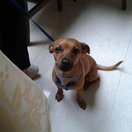 Szálloda Le Torri 4*