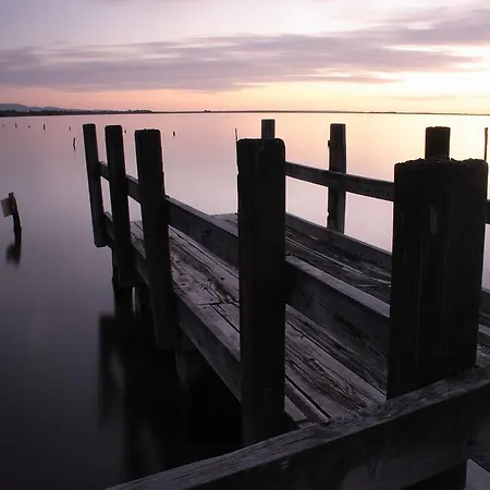 勒托瑞酒店 酒店 阿尔博里亚