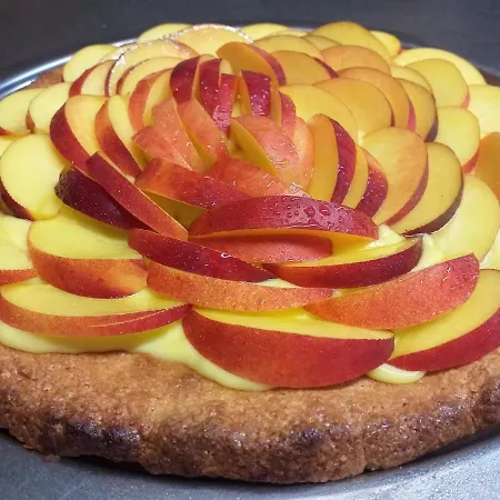 酒店 勒托瑞酒店 阿尔博里亚