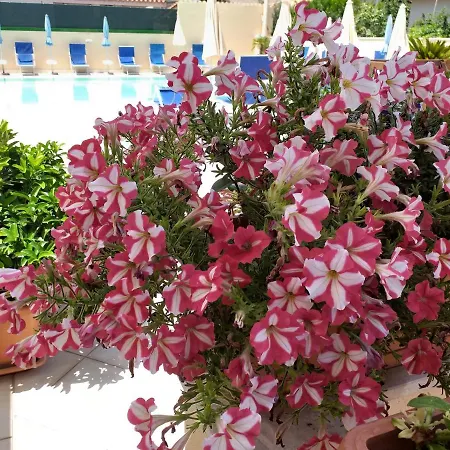 ホテル Le Torri 4*